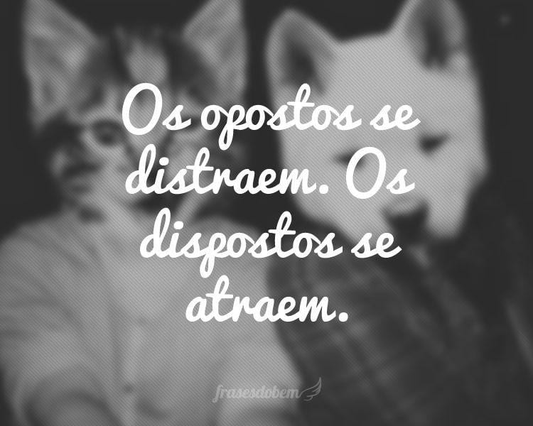 Frases De Reflexão, Os opostos se distraem. Os dispostos se atraem.