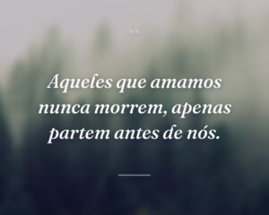 Aqueles que amamos nunca morrem, apenas partem antes de nós.