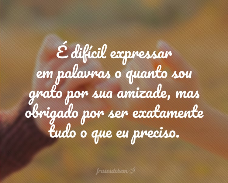 É difícil expressar em palavras o quanto sou grato por sua amizade, mas obrigado por ser exatamente tudo o que eu preciso.