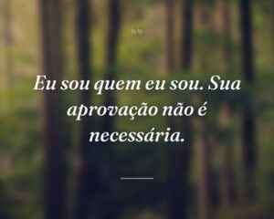 Eu sou quem eu sou. Sua aprovação não é necessária.