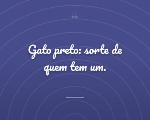Gato preto: sorte de quem tem um.