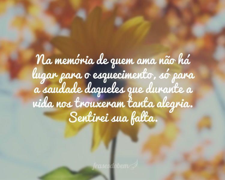 Na memória de quem ama não há lugar para o esquecimento, só para a saudade daqueles que durante a vida nos trouxeram tanta alegria. Sentirei sua falta.