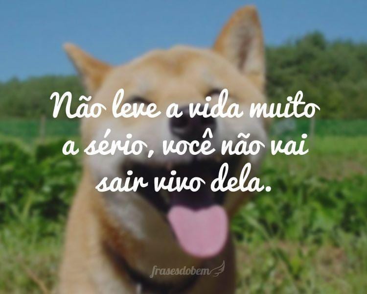 Não leve a vida muito a sério, você não vai sair vivo dela.