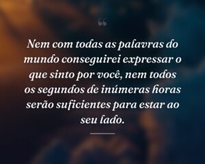 Nem com todas as palavras do mundo conseguirei expressar o que sinto por você, nem todos os segundos de inúmeras horas serão suficientes para estar ao seu lado.