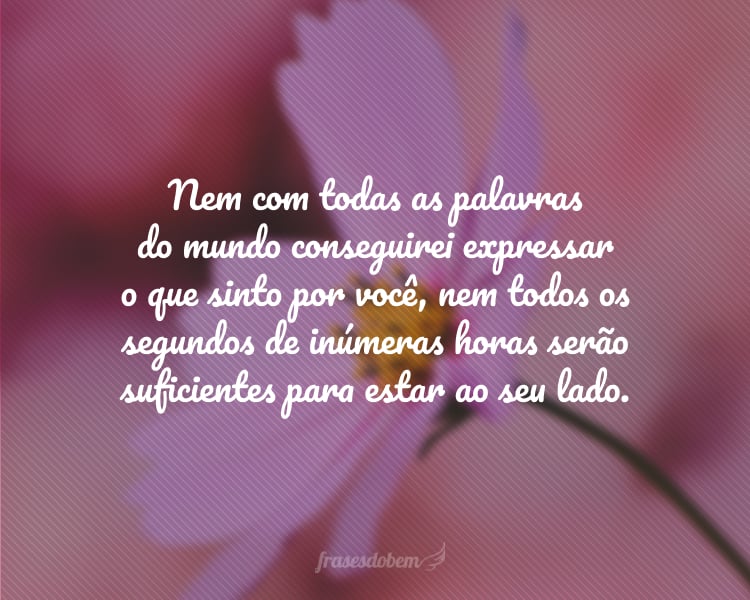 Nem com todas as palavras do mundo conseguirei expressar o que sinto por você, nem todos os segundos de inúmeras horas serão suficientes para estar ao seu lado.