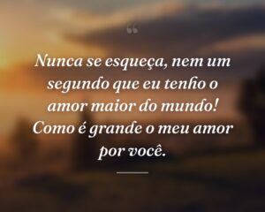 Nunca se esqueça, nem um segundo que eu tenho o amor maior do mundo! Como é grande o meu amor por você.