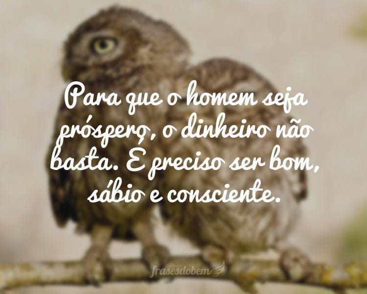 Para que o homem seja próspero, o dinheiro não basta. É preciso ser bom, sábio e consciente.