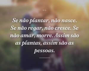 Se não plantar, não nasce. Se não regar, não cresce. Se não amar, morre. Assim são as plantas, assim são as pessoas.