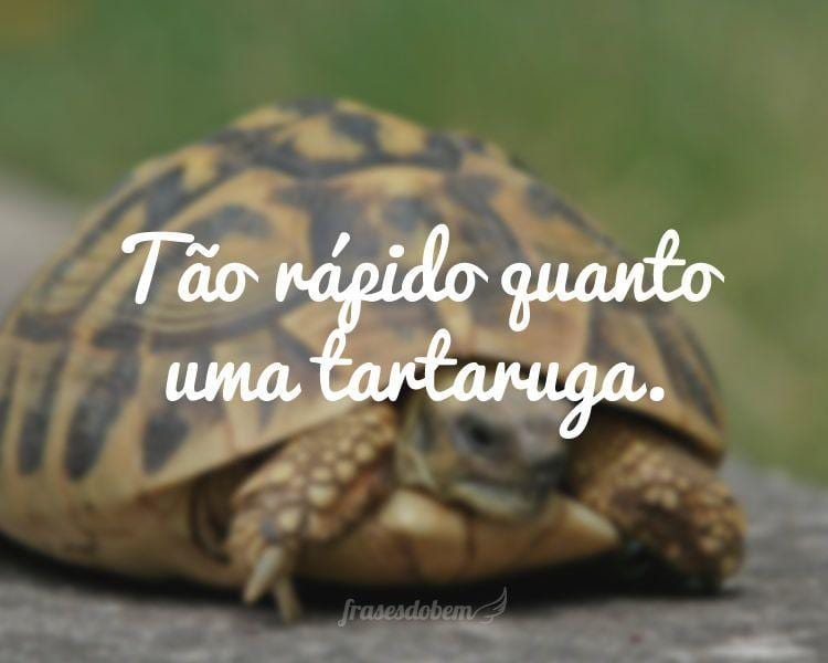 Tão rápido quanto uma tartaruga.