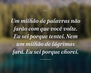 Um milhão de palavras não farão com que você volte. Eu sei porque tentei. Nem um milhão de lágrimas fará. Eu sei porque chorei.