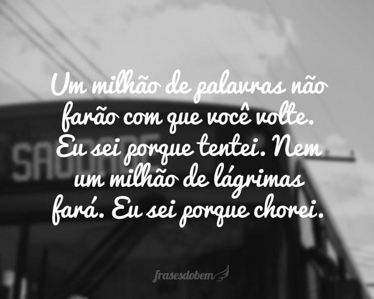 Um milhão de palavras não farão com que você volte. Eu sei porque tentei. Nem um milhão de lágrimas fará. Eu sei porque chorei.