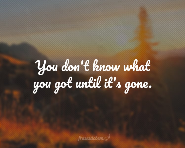 You don't know what you got until it's gone.
(Você não sabe o que tem até que tenha perdido.)