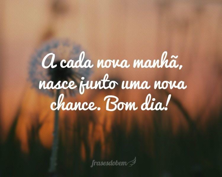 Featured image of post Frases De Bom Dia Para Status Reflex o Belas fotos e imagens para compartilhar