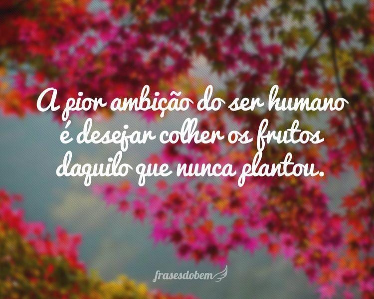 A pior ambição do ser humano é desejar colher os frutos daquilo que nunca plantou.