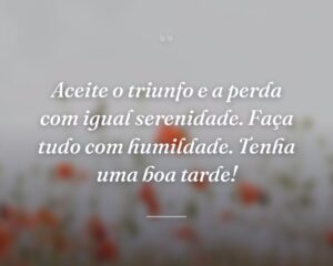 Aceite o triunfo e a perda com igual serenidade. Faça tudo com humildade. Tenha uma boa tarde!