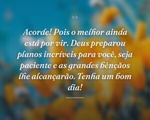 Acorde! Pois o melhor ainda está por vir. Deus preparou planos incríveis para você, seja paciente e as grandes bênçãos lhe alcançarão. Tenha um bom dia!