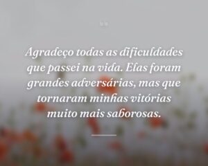 Agradeço todas as dificuldades que passei na vida. Elas foram grandes adversárias, mas que tornaram minhas vitórias muito mais saborosas.