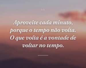 Aproveite cada minuto, porque o tempo não volta. O que volta é a vontade de voltar no tempo.