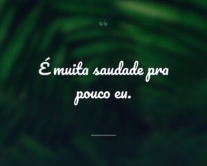 É muita saudade pra pouco eu.