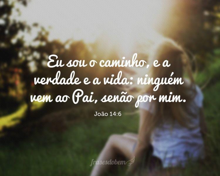 Eu sou o caminho, e a verdade e a vida: ninguém vem ao Pai, senão por mim. (João 14:6)