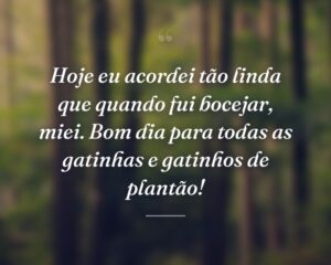 Hoje eu acordei tão linda que quando fui bocejar, miei. Bom dia para todas as gatinhas e gatinhos de plantão!