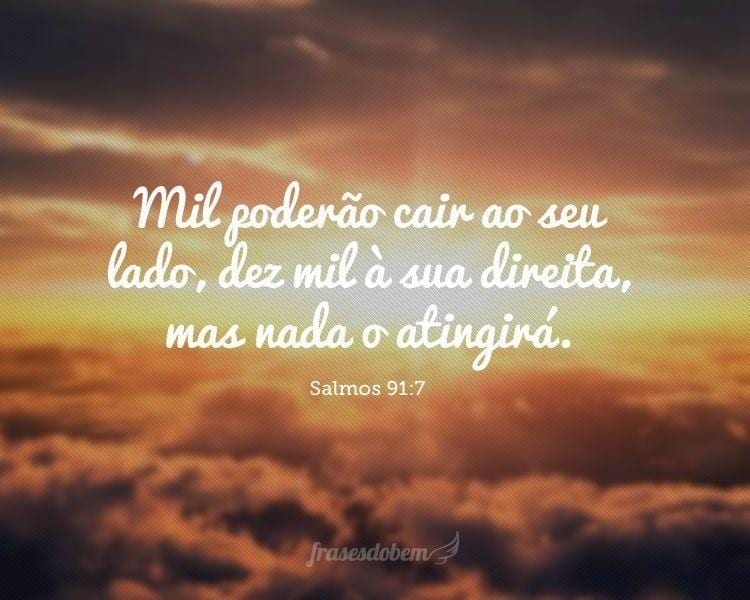 Mil poderão cair ao seu lado, dez mil à sua direita, mas nada o atingirá. (Salmos 91:7)