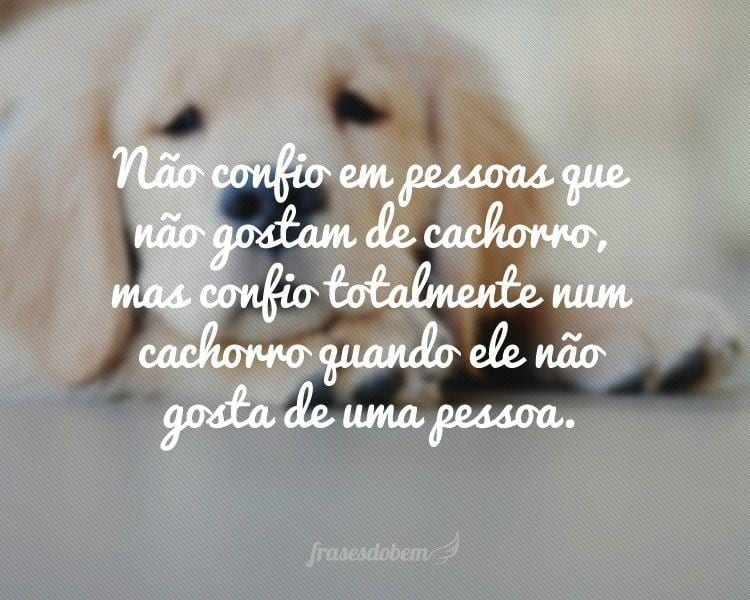 Não confio em pessoas que não gostam de cachorro, mas confio totalmente num cachorro quando ele não gosta de uma pessoa.