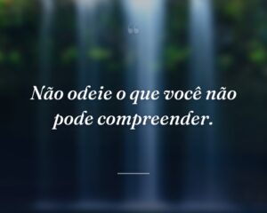 Não odeie o que você não pode compreender.