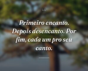 Primeiro encanto. Depois desencanto. Por fim, cada um pro seu canto.