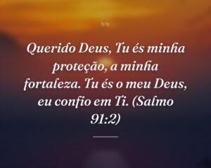 Querido Deus, Tu és minha proteção, a minha fortaleza. Tu és o meu Deus, eu confio em Ti. (Salmo 91:2)