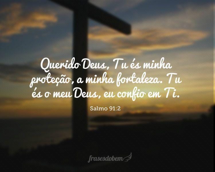 Querido Deus, Tu és minha proteção, a minha fortaleza. Tu és o meu Deus, eu confio em Ti. (Salmo 91:2)