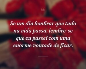 Se um dia lembrar que tudo na vida passa, lembre-se que eu passei com uma enorme vontade de ficar.