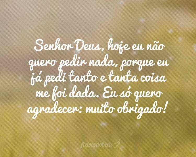 Senhor Deus, hoje eu não quero pedir nada, porque eu já pedi tanto e tanta coisa me foi dada. Eu só quero agradecer: muito obrigado!