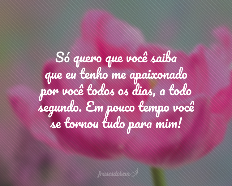 Só quero que você saiba que eu tenho me apaixonado por você todos os dias, a todo segundo. Em pouco tempo você se tornou tudo para mim!