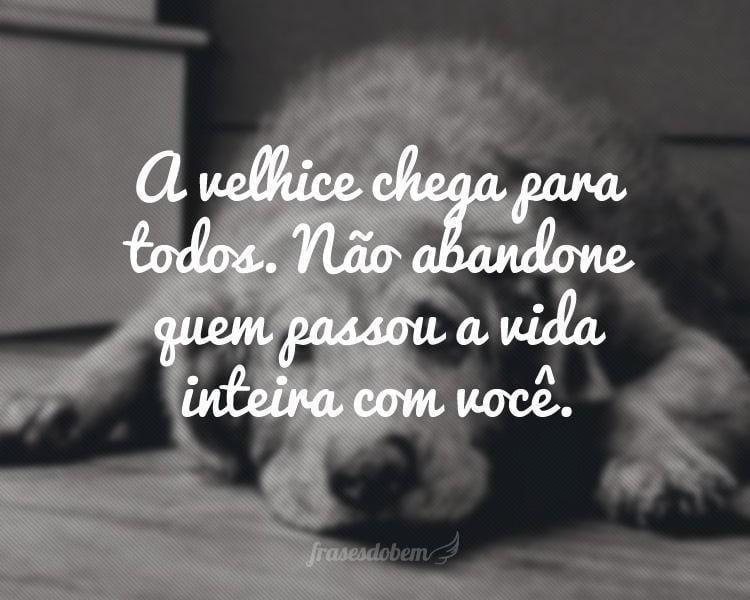 A velhice chega para todos. Não abandone quem passou a vida inteira com você.