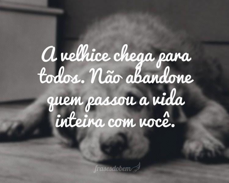 A velhice chega para todos. Não abandone quem passou a vida inteira com você.