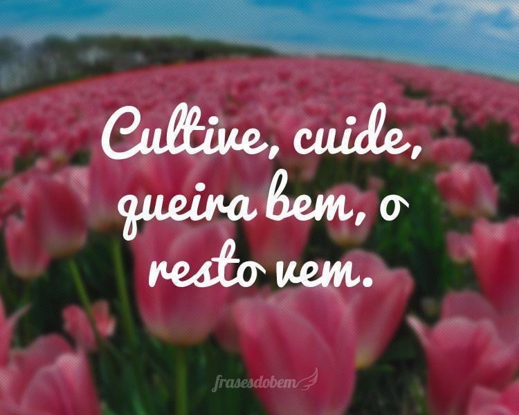 Cultive, cuide, queira bem, o resto vem.