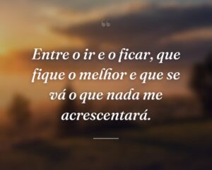 Entre o ir e o ficar, que fique o melhor e que se vá o que nada me acrescentará.