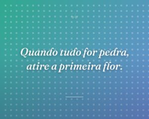 Quando tudo for pedra, atire a primeira flor.