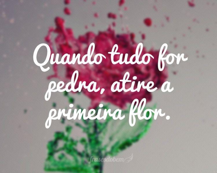 Quando tudo for pedra, atire a primeira flor.