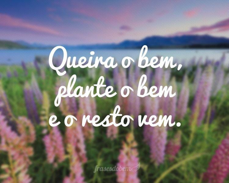 Queira o bem, plante o bem e o resto vem.