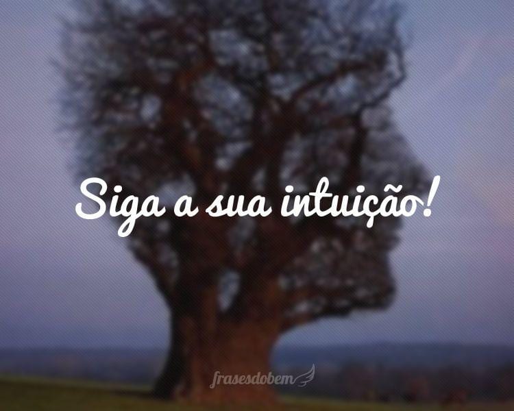 Siga a sua intuição!