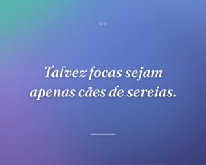 Talvez focas sejam apenas cães de sereias.