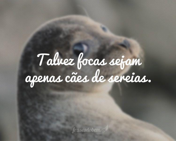 Talvez focas sejam apenas cães de sereias.