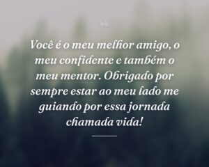Você é o meu melhor amigo, o meu confidente e também o meu mentor. Obrigado por sempre estar ao meu lado me guiando por essa jornada chamada vida!