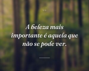 A beleza mais importante é aquela que não se pode ver.