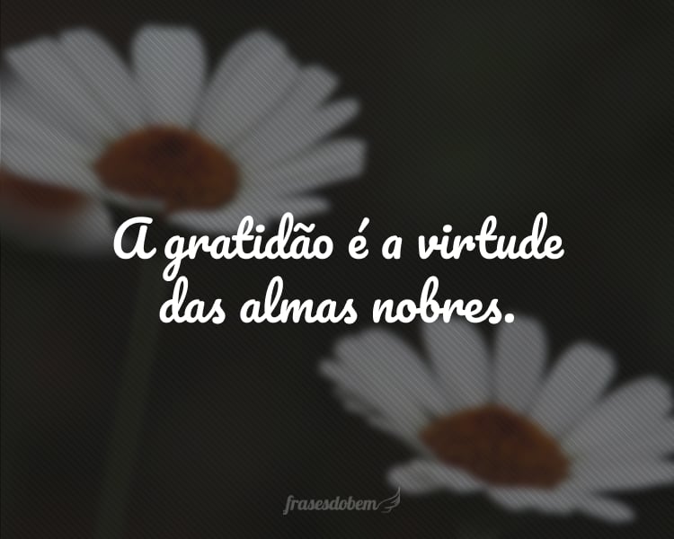 A gratidão é a virtude das almas nobres.