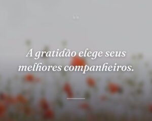 A gratidão elege seus melhores companheiros.