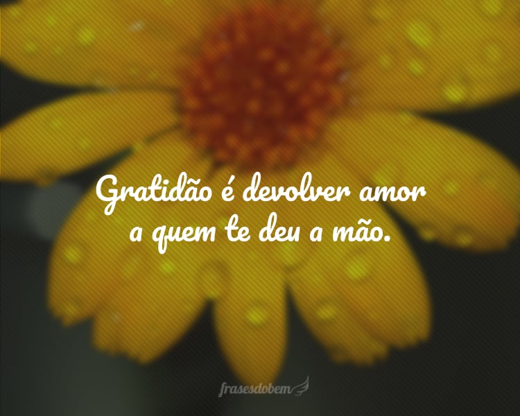 Gratidão é devolver amor a quem te deu a mão.