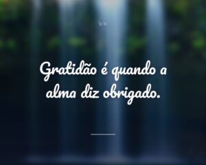 Gratidão é quando a alma diz obrigado.